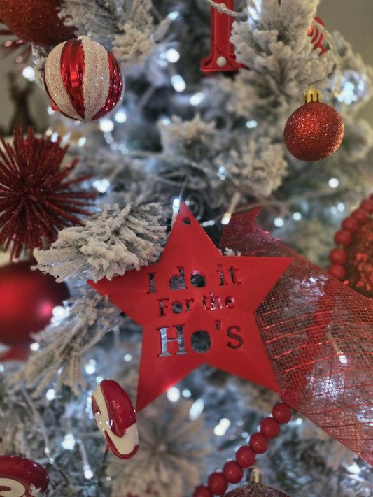 Ho's Star Ornament